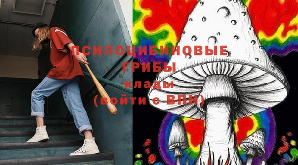 spice Балахна
